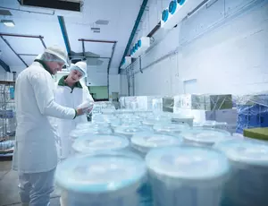 Danone Waste