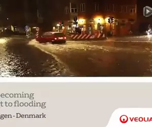 Case study solution - Copenhagen Thumbnail