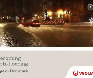 Case study solution - Copenhagen Thumbnail