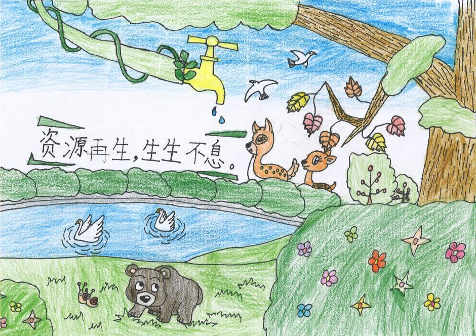 Drawing 11 Biodiversity Drawing Competition, Drawing Campaign, International Biodiversity Day
