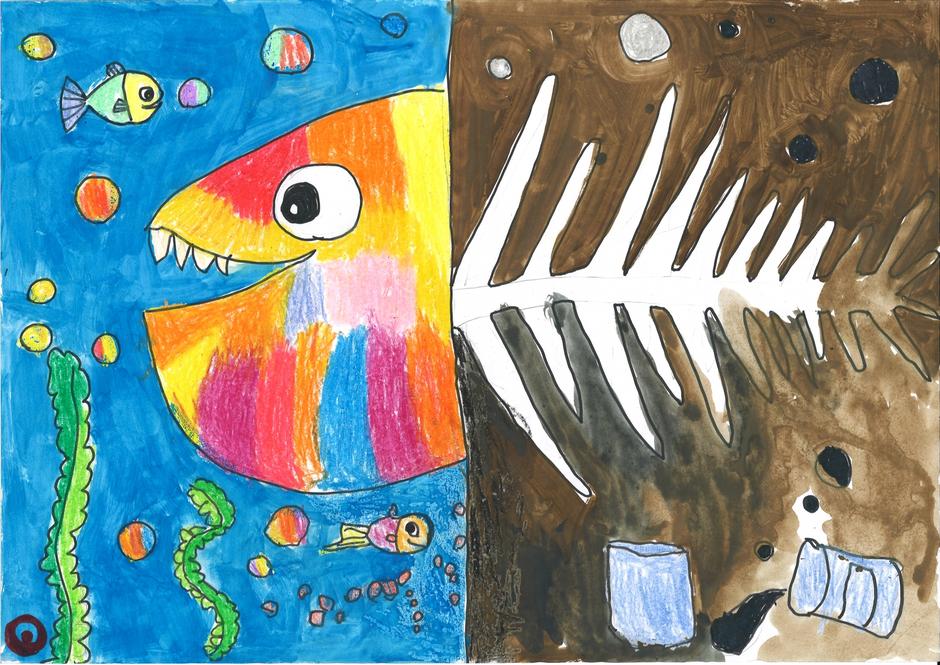Drawing 12 Biodiversity Drawing Competition, Drawing Campaign, International Biodiversity Day
