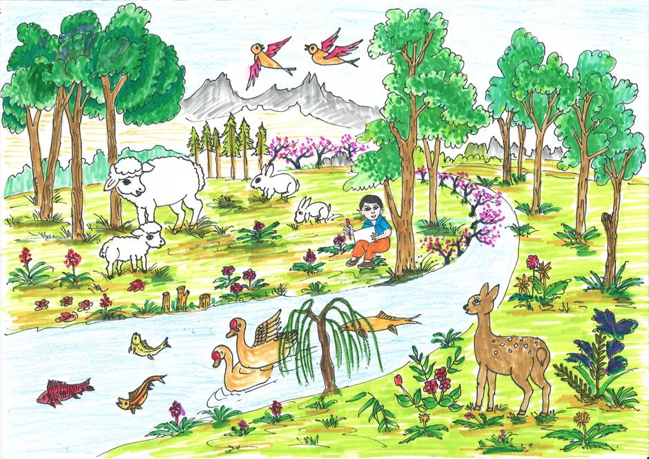 Drawing 15 Biodiversity Drawing Competition, Drawing Campaign, International Biodiversity Day